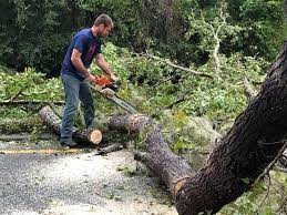 Warsaw, IN Tree Care  Company